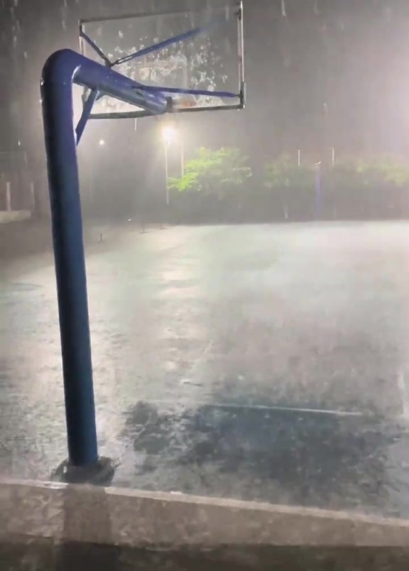 到底是哪個王八蛋發的誓，讓我們這些單身狗淋雨？？？